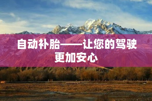 自动补胎——让您的驾驶更加安心 自动补胎——让您的驾驶更加安心