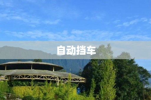 自动挡车:省力又省心的驾驶选择 自动挡车:省力又省心的驾驶选择