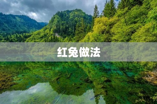 红兔做法:让你轻松制作美味的红烧兔肉 红兔做法:让你轻松制作美味的红烧兔肉