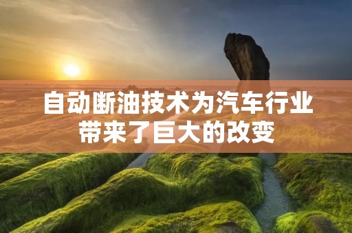 自动断油技术为汽车行业带来了巨大的改变 自动断油技术为汽车行业带来了巨大的改变
