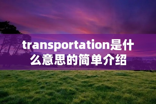 transportation是什么意思的简单介绍