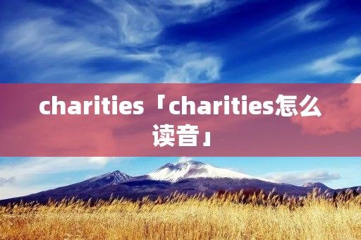 charities「charities怎么读音」
