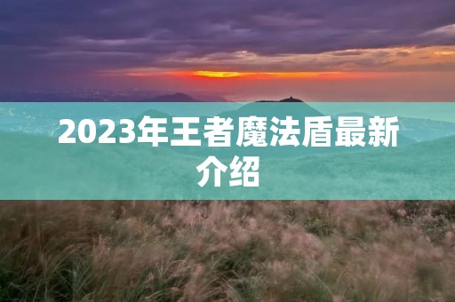 2023年王者魔法盾最新介绍