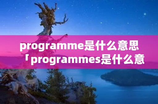 programme是什么意思「programmes是什么意思」