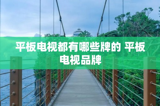平板电视都有哪些牌的 平板电视品牌