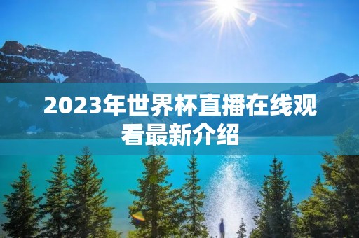 2023年世界杯直播在线观看最新介绍