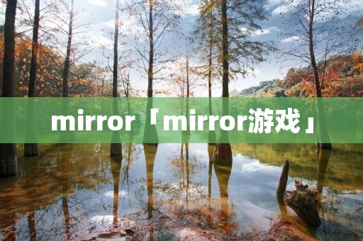 mirror「mirror游戏」