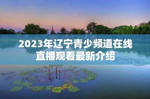 2023年辽宁青少频道在线直播观看最新介绍