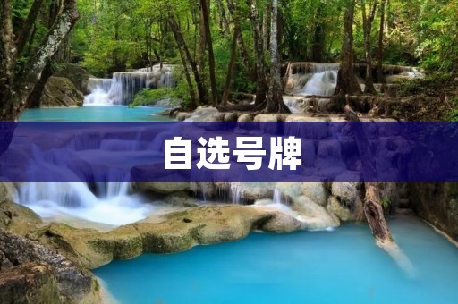 自选号牌:享受个性化定制的自由 自选号牌:享受个性化定制的自由