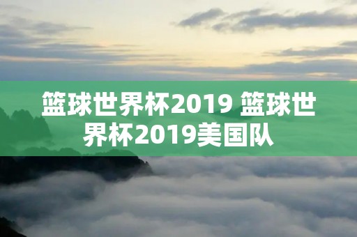篮球世界杯2019 篮球世界杯2019美国队