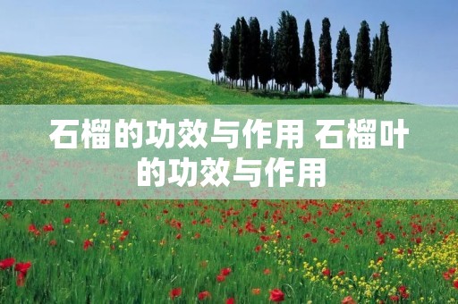 石榴的功效与作用 石榴叶的功效与作用 石榴的功效与作用 石榴叶的功效与作用