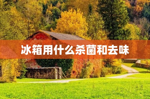 冰箱用什么杀菌和去味