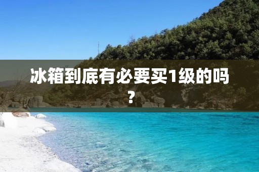 冰箱到底有必要买1级的吗？