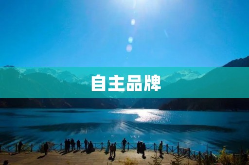 自主品牌:中国制造的新风尚 自主品牌:中国制造的新风尚