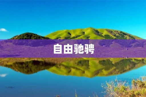 自由驰骋:追寻个性化生活的新时代 自由驰骋:追寻个性化生活的新时代