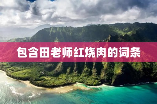 包含田老师红烧肉的词条