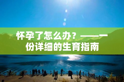 怀孕了怎么办?——一份详细的生育指南 怀孕了怎么办?——一份详细的生育指南