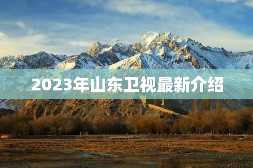 2023年山东卫视最新介绍