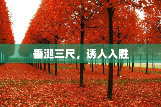 垂涎三尺,诱人入胜