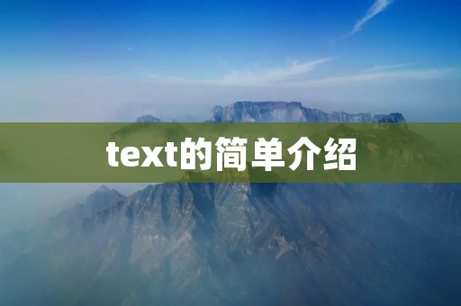 text的简单介绍