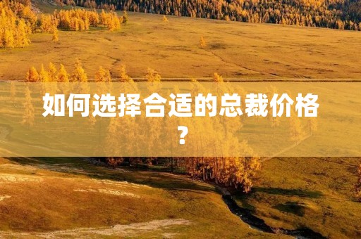 如何选择合适的总裁价格? 如何选择合适的总裁价格?