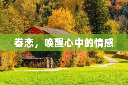 眷恋，唤醒心中的情感