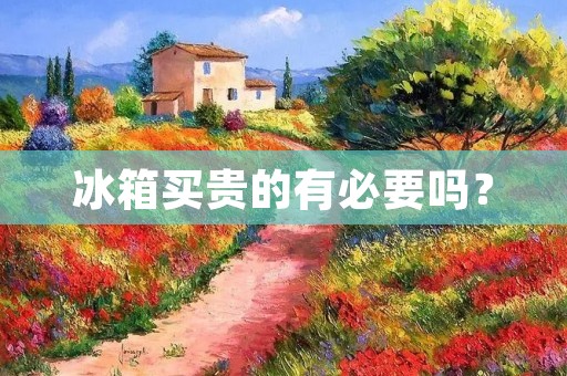 冰箱买贵的有必要吗? 冰箱买贵的有必要吗?