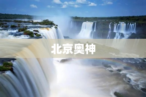 北京奥神：打造中国智能科技领域的领跑者