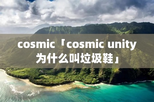 cosmic「cosmic unity为什么叫垃圾鞋」