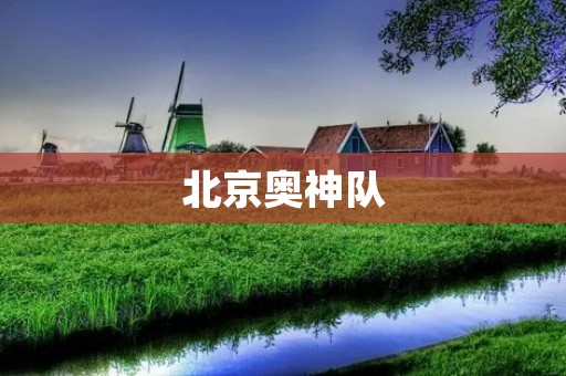 北京奥神队：默默耕耘的冠军之路