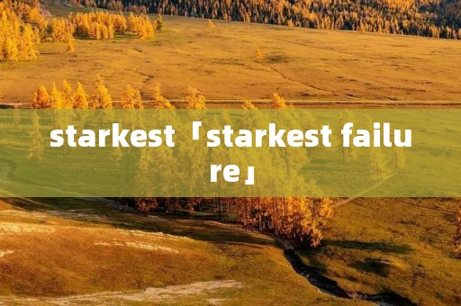 starkest「starkest failure」