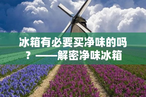 冰箱有必要买净味的吗?——解密净味冰箱 冰箱有必要买净味的吗?——解密净味冰箱