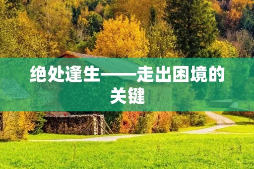 绝处逢生——走出困境的关键