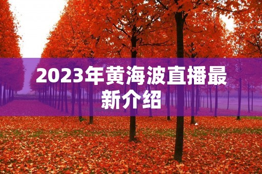 2023年黄海波直播最新介绍