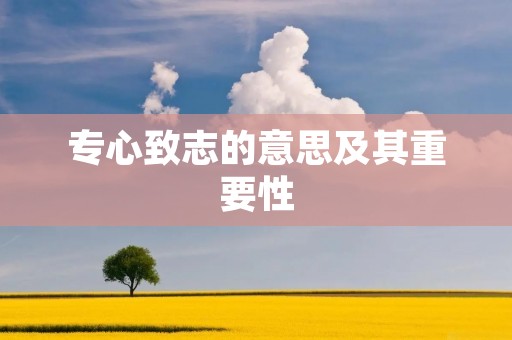 专心致志的意思及其重要性