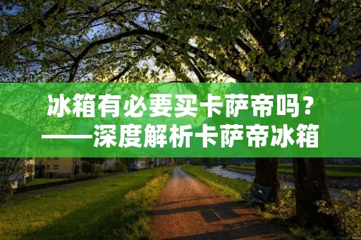 冰箱有必要买卡萨帝吗？——深度解析卡萨帝冰箱的优势与劣势
