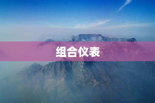 组合仪表:高效、精准的测量工具 组合仪表:高效、精准的测量工具