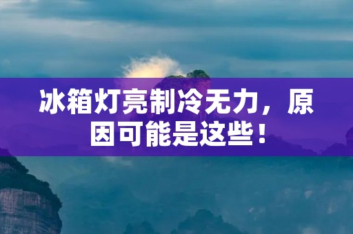 冰箱灯亮制冷无力，原因可能是这些！