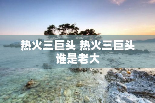 热火三巨头 热火三巨头谁是老大
