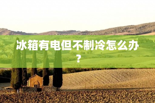 冰箱有电但不制冷怎么办? 冰箱有电但不制冷怎么办?