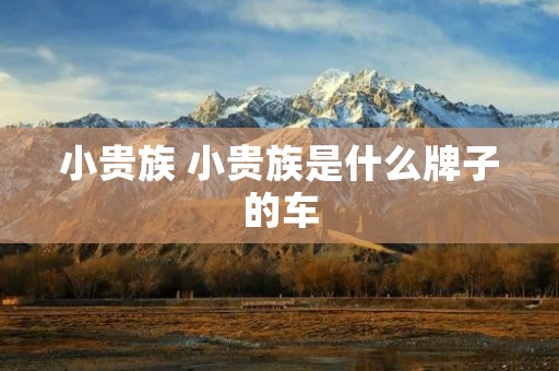 小贵族 小贵族是什么牌子的车 小贵族 小贵族是什么牌子的车