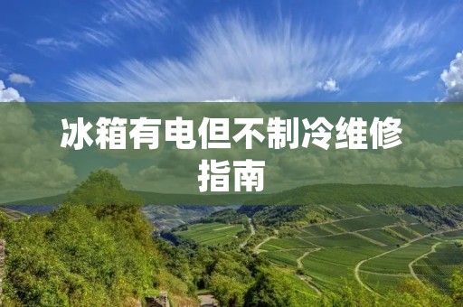 冰箱有电但不制冷维修指南