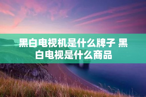 黑白电视机是什么牌子 黑白电视是什么商品