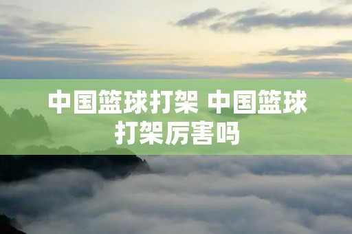 中国篮球打架 中国篮球打架厉害吗