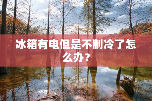 冰箱有电但是不制冷了怎么办? 冰箱有电但是不制冷了怎么办?