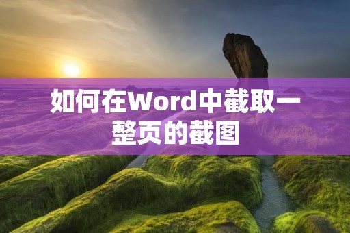 如何在Word中截取一整页的截图