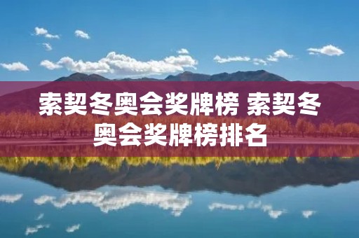 索契冬奥会奖牌榜 索契冬奥会奖牌榜排名
