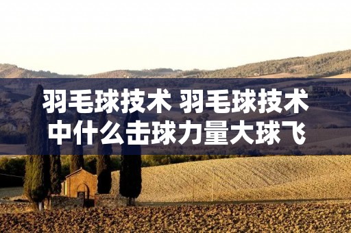 羽毛球技术 羽毛球技术中什么击球力量大球飞行的速度最快