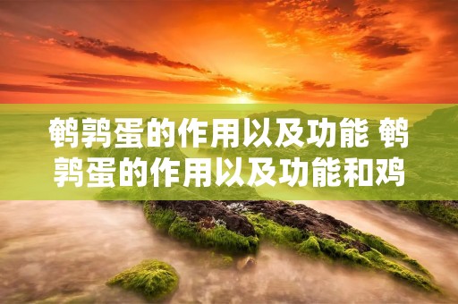 鹌鹑蛋的作用以及功能 鹌鹑蛋的作用以及功能和鸡蛋的区别