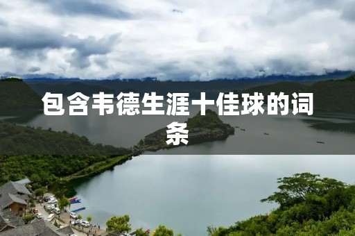 包含韦德生涯十佳球的词条